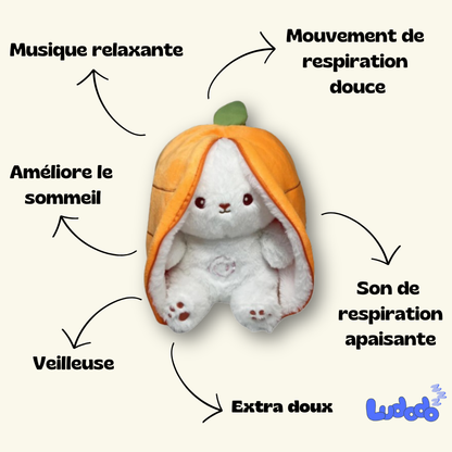 Peluche Ludodo™ Lapin