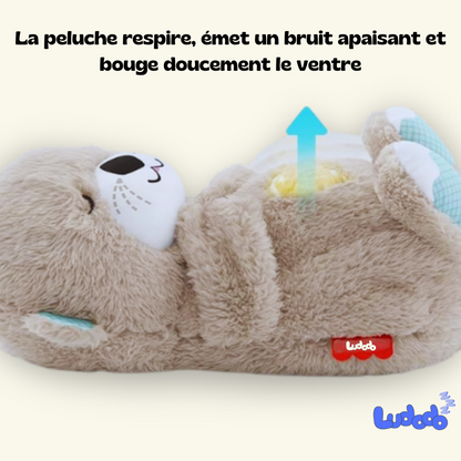 Peluche Ludodo™ Loutre